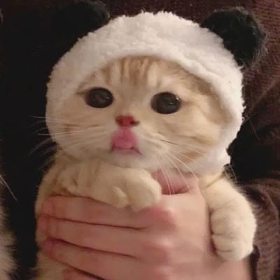 Aurelie Hermansyah avatar